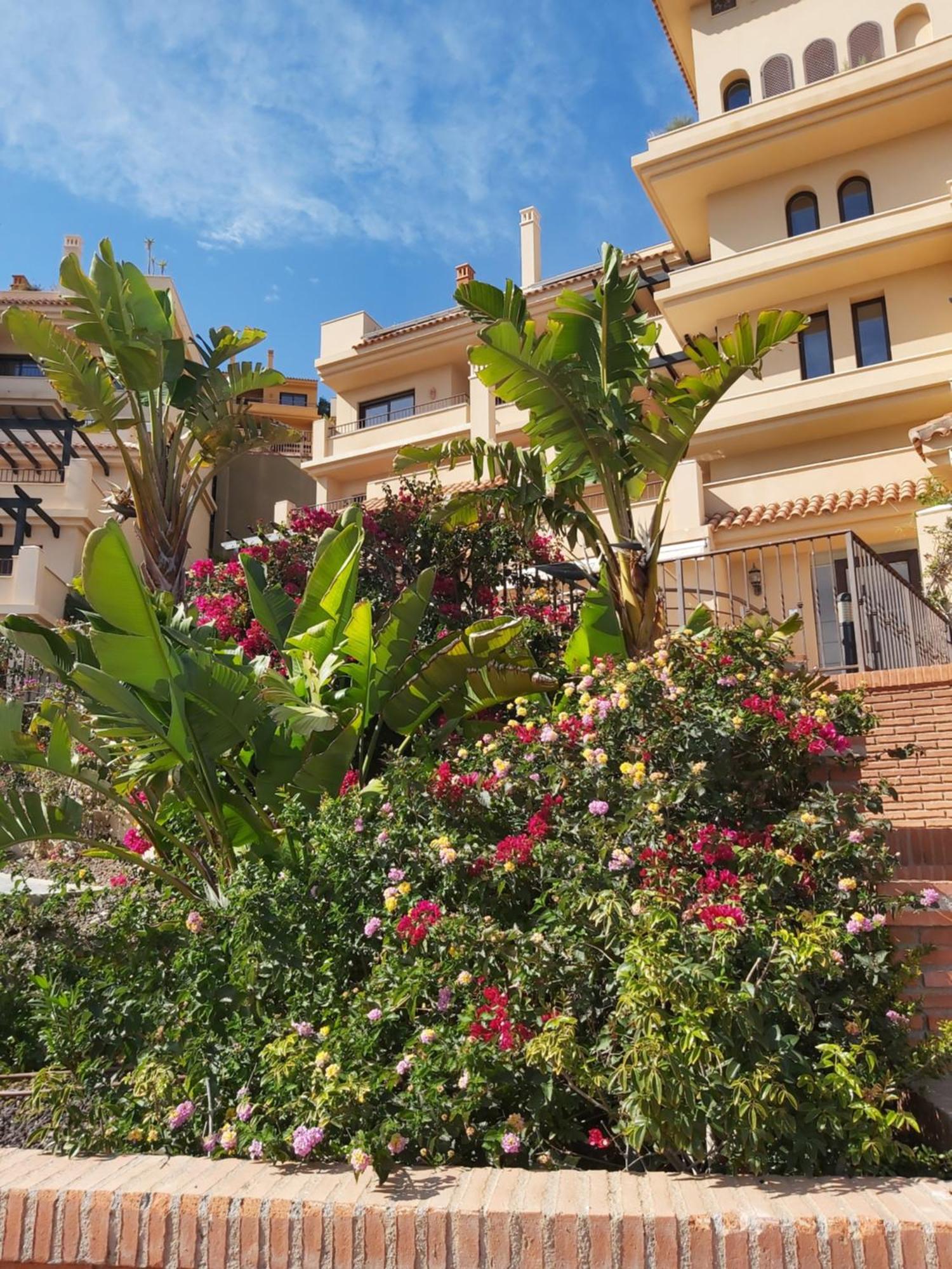 Casa Don Marco Apartment Aguilas Ngoại thất bức ảnh